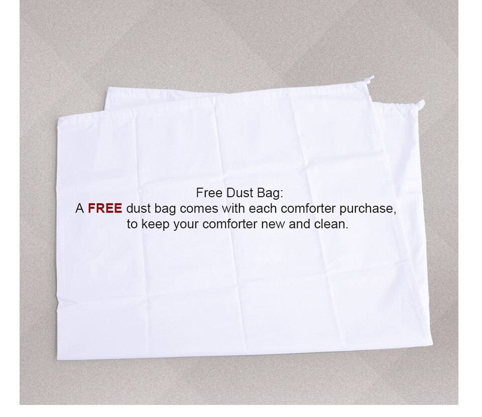 Lily Silk Comforter All Season Natural Pure Silk Duvet